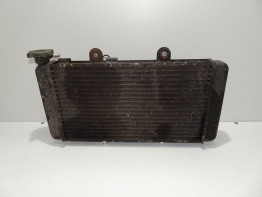 Radiateur BMW F 650