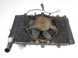 Kuhler Honda CBR 1000 F