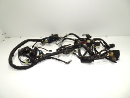 Wire Harness Yamaha XJ 6 N