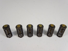 Clutch Aprilia Tuono 1000