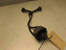 Bobine Yamaha FZR 600