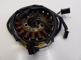 Dynamo Kawasaki EL 250