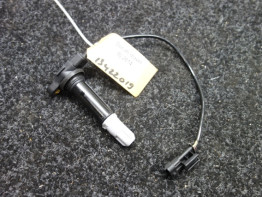 Bobine Ducati Diavel