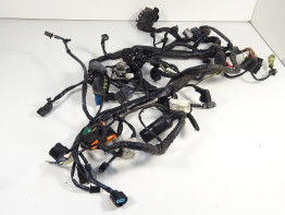 Wire Harness Kawasaki VERSYS 650