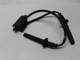 Bobine Yamaha FAZER 1000