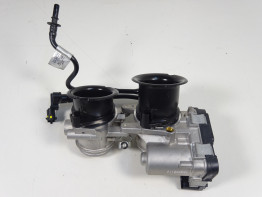 Einspritzanlage Aprilia Tuono 660