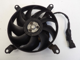 Fan Yamaha FZ6