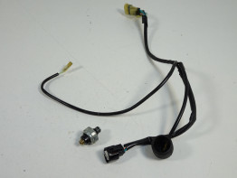 Motorblok diverse Honda CBF 600