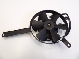 Fan Yamaha YZF 1000 Thunderace