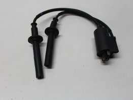 Bobine Yamaha FAZER 1000