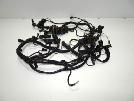 Kabelboom Ducati monster 600