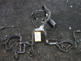 Wire Harness BMW R 1250 GS Adventure