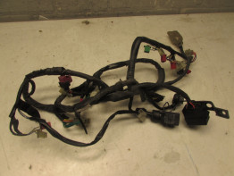 Kabelboom Honda CBR 600 F