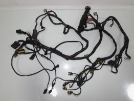 Kabelboom Moto Guzzi California EV