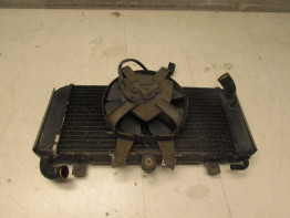 Radiator Yamaha FAZER 600
