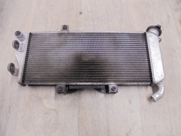 Kuhler Kawasaki ER 6