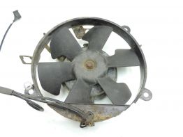 Fan Honda CBR 600 F