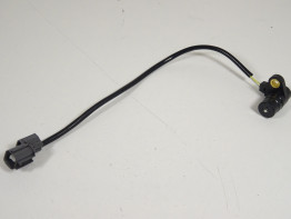 Nokkenas Kawasaki Z 1000