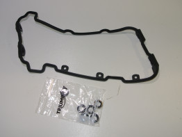 Ventildeckel Triumph Speed Triple 1050 R