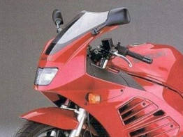 Kuipruit Suzuki RF 900