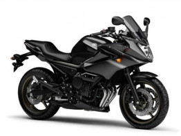 Kuipruit Yamaha Overige Yamaha