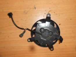 Fan Suzuki DL 650 V STROM