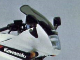 Kuipruit Kawasaki GPZ 500