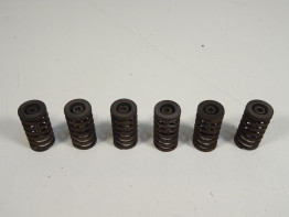 Koppeling Ducati Multistrada 1000