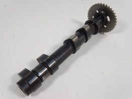 Nokkenas uitlaat Kawasaki ER 6