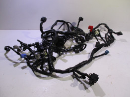 Wire Harness Kawasaki Z 900