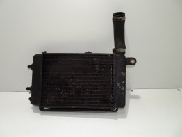 Kuhler Aprilia Tuono 1000