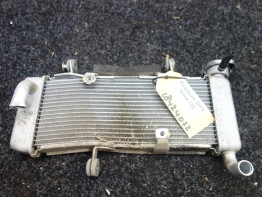 Radiateur Kawasaki Ninja 125