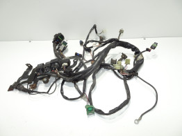 Wire Harness Aprilia RST 1000 Futura