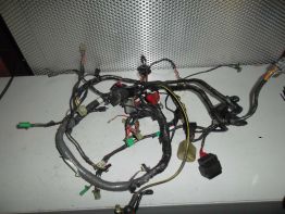 Wire Harness Kawasaki ZZR 600
