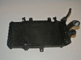 Radiator BMW F 800