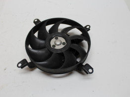 Fan Yamaha FZ6