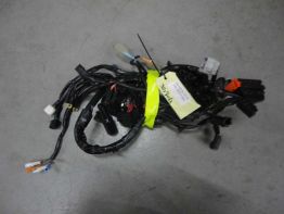 Wire Harness Honda CBR 600 F