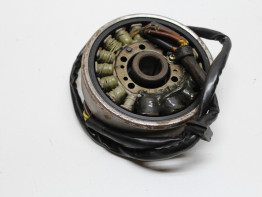 Dynamo Suzuki RG 500