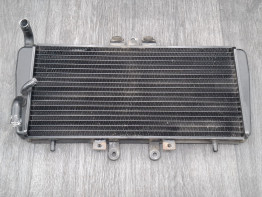 Radiateur Triumph 595 T Daytona