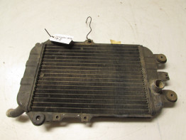 Radiateur Kawasaki VN 700 750