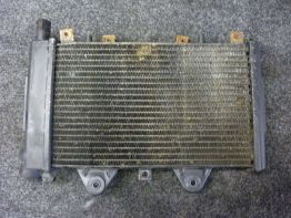 Radiator Triumph Trophy 900