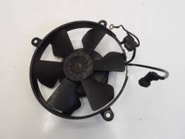 Fan Honda CBR 900 RR