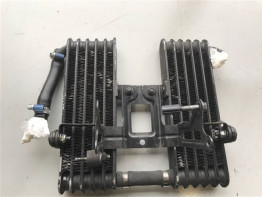 Olkuhler Aprilia RSV 1000