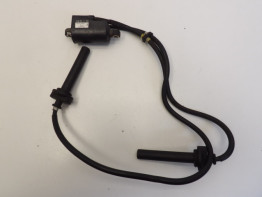 Bobine Yamaha FJR 1300