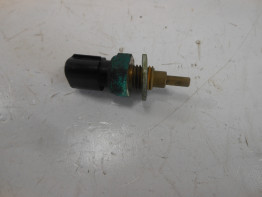 Other Kawasaki Z 750