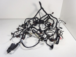 Kabelboom BMW K 1200 R 