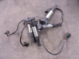 Bobine Aprilia Tuono V4