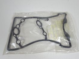 Kleppendeksel Ducati Desmosedici 