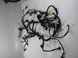 Wire Harness Yamaha MT 09