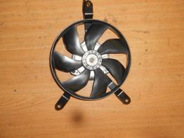 Fan Kawasaki Z 1000